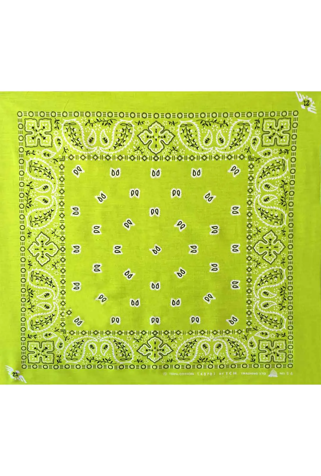 Apple Green Paisley Bandana