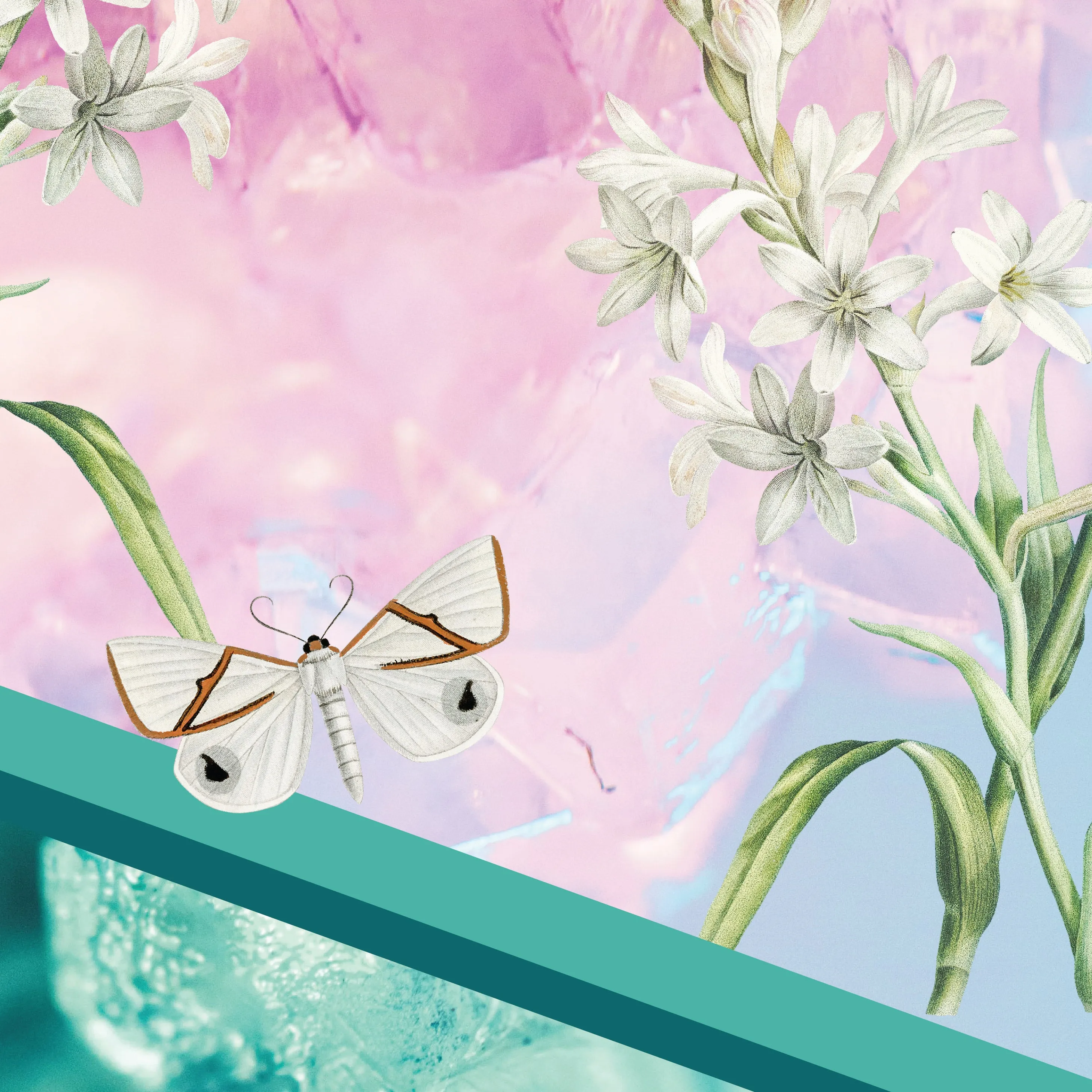 Crystal Fly Top