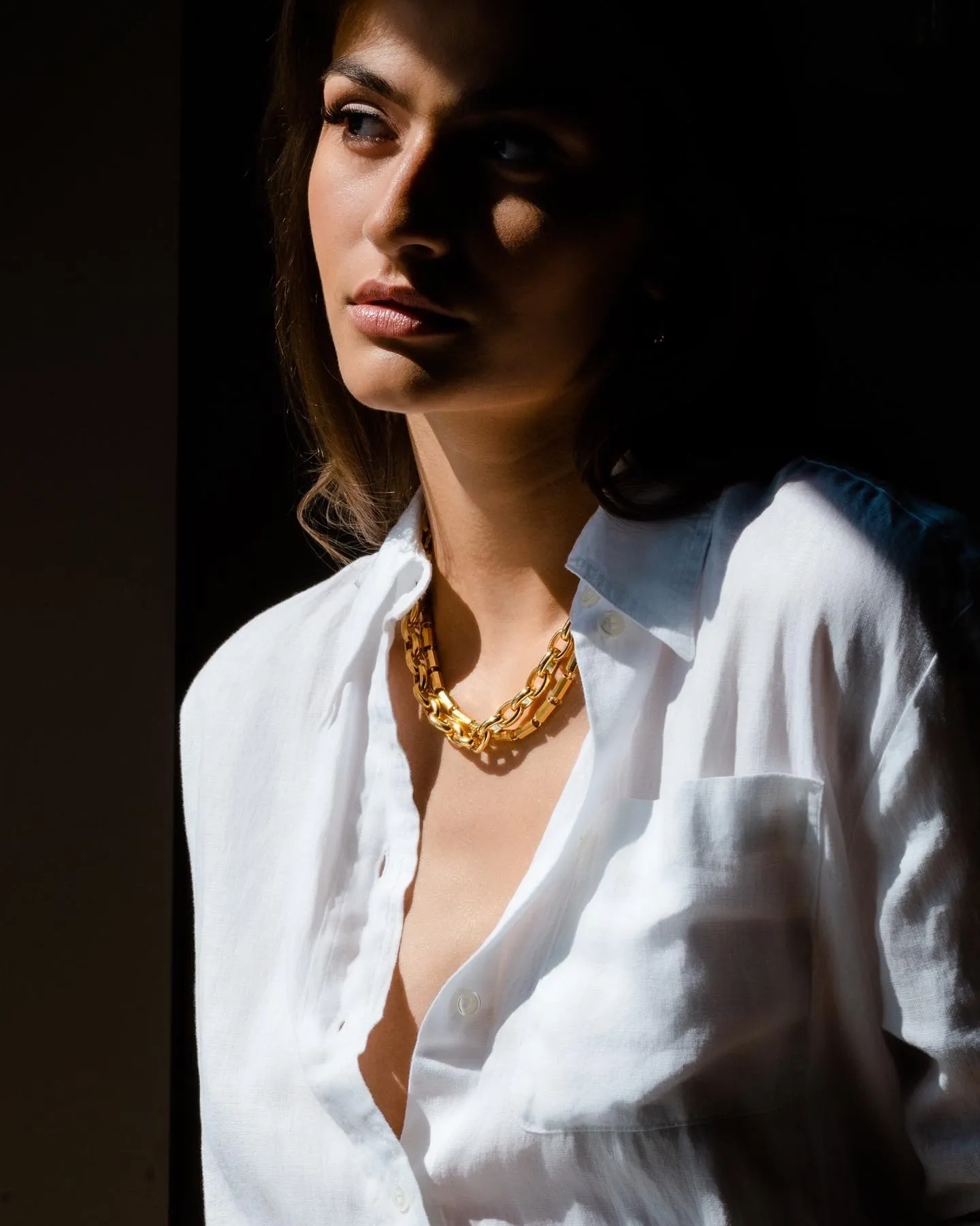 Double link Necklace