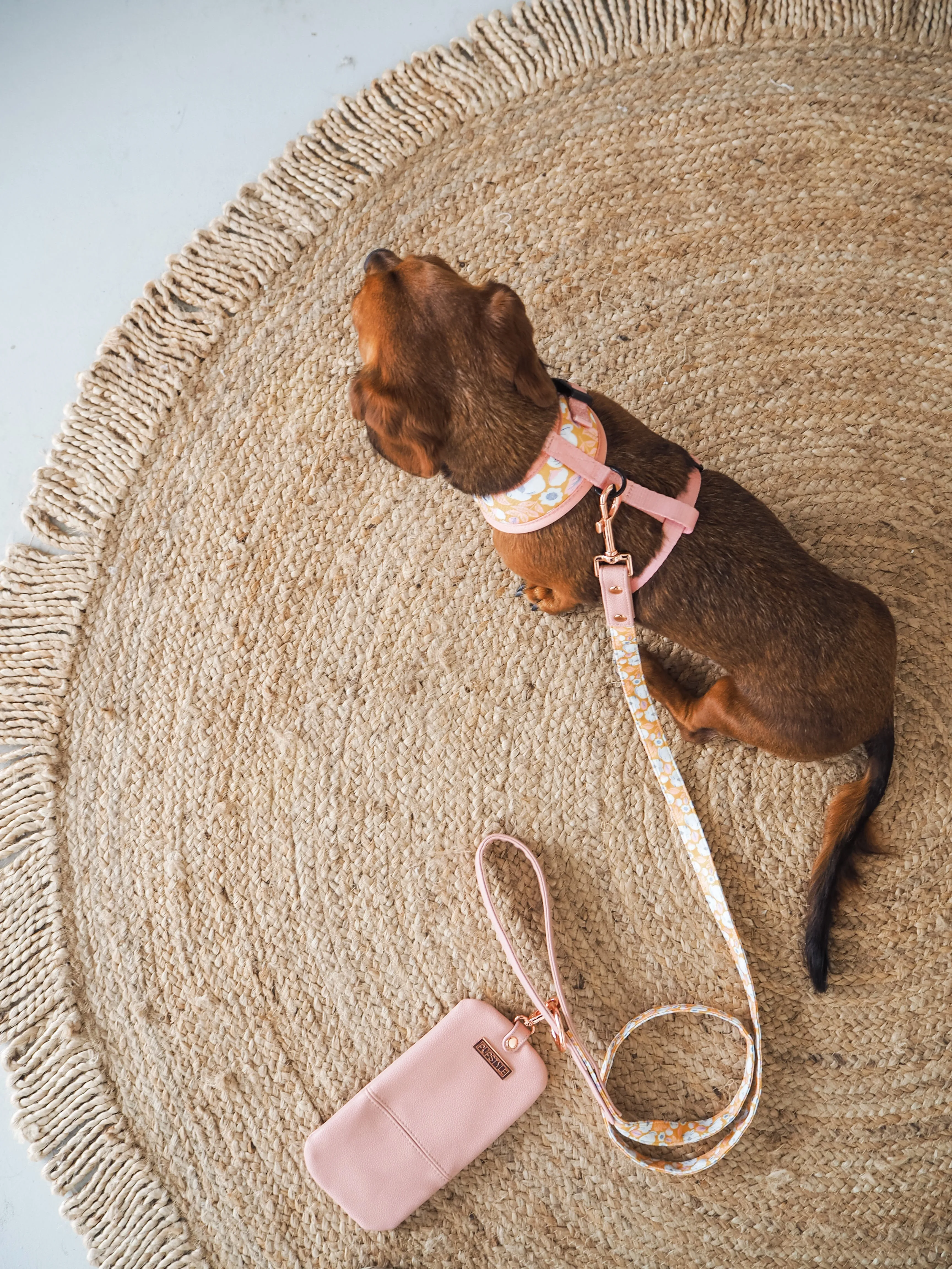 "Summer Fling" City Leash
