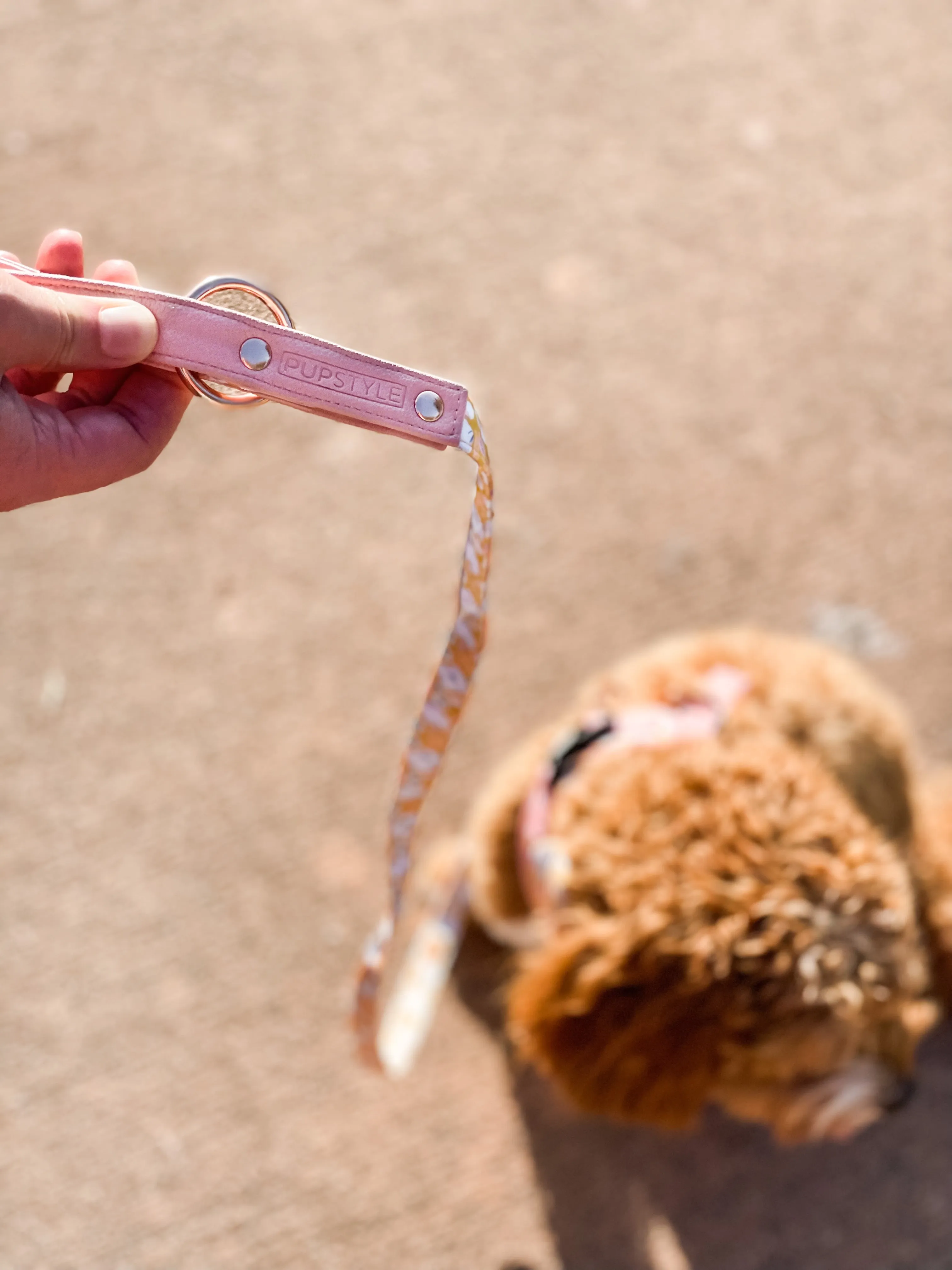 "Summer Fling" City Leash