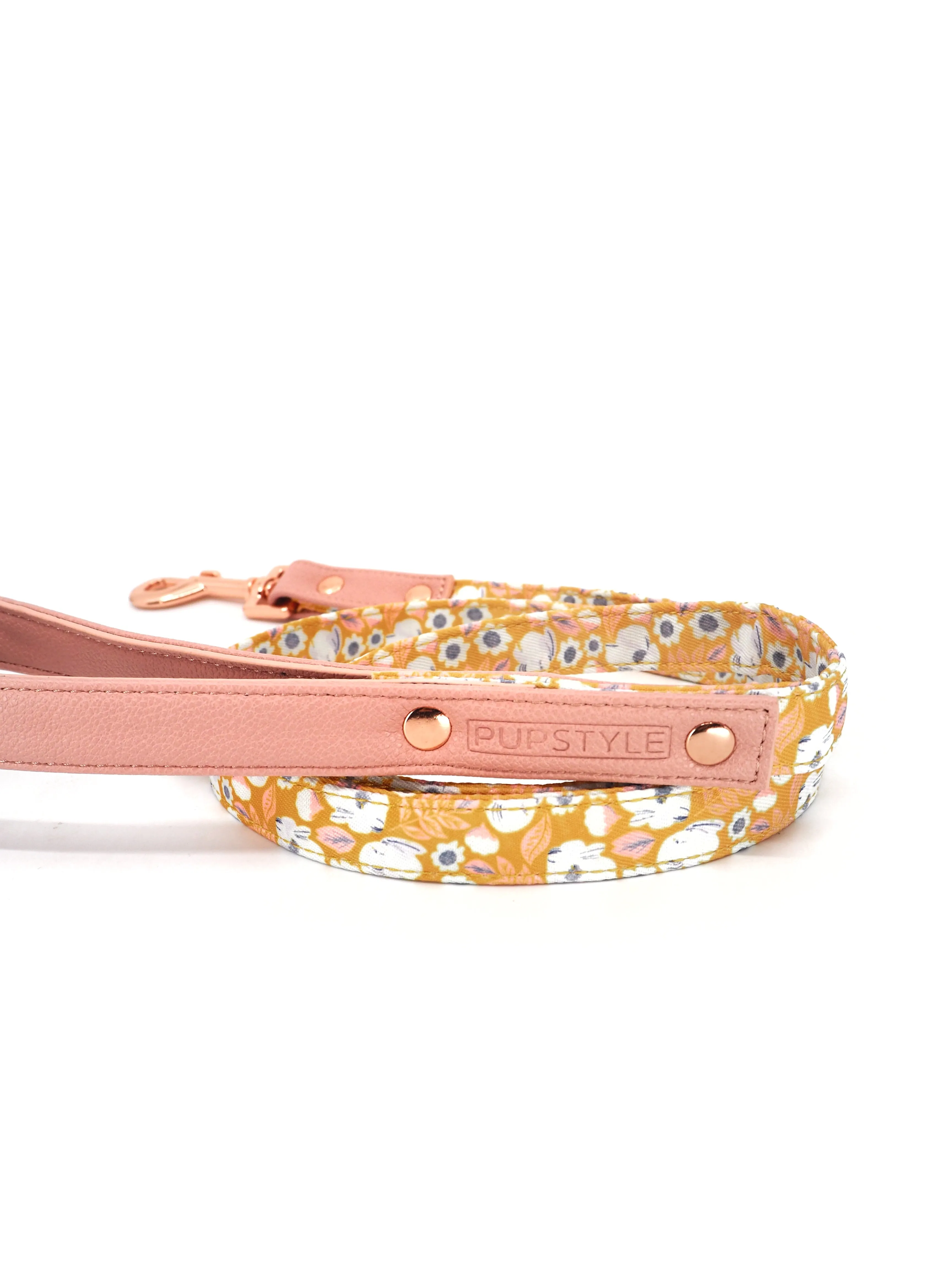 "Summer Fling" City Leash
